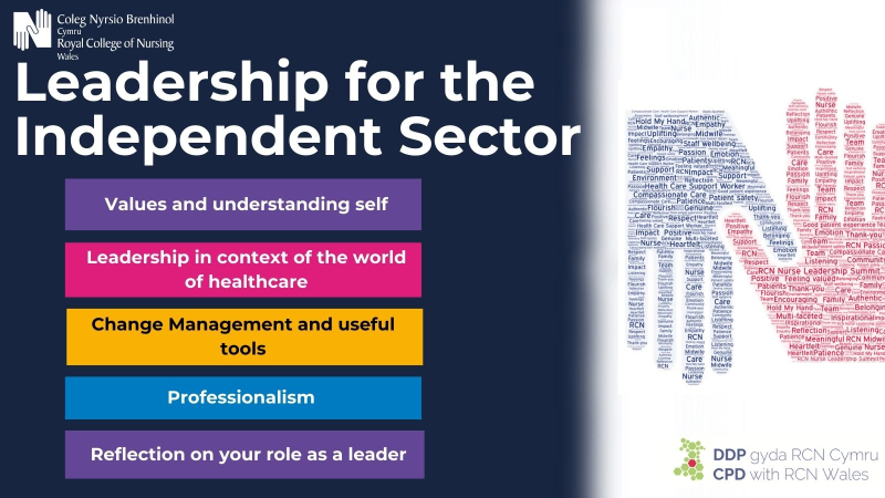 Leadership for the independent sector graphic