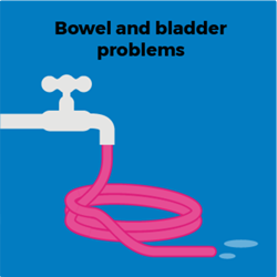 Bladder-and-bowel-problems