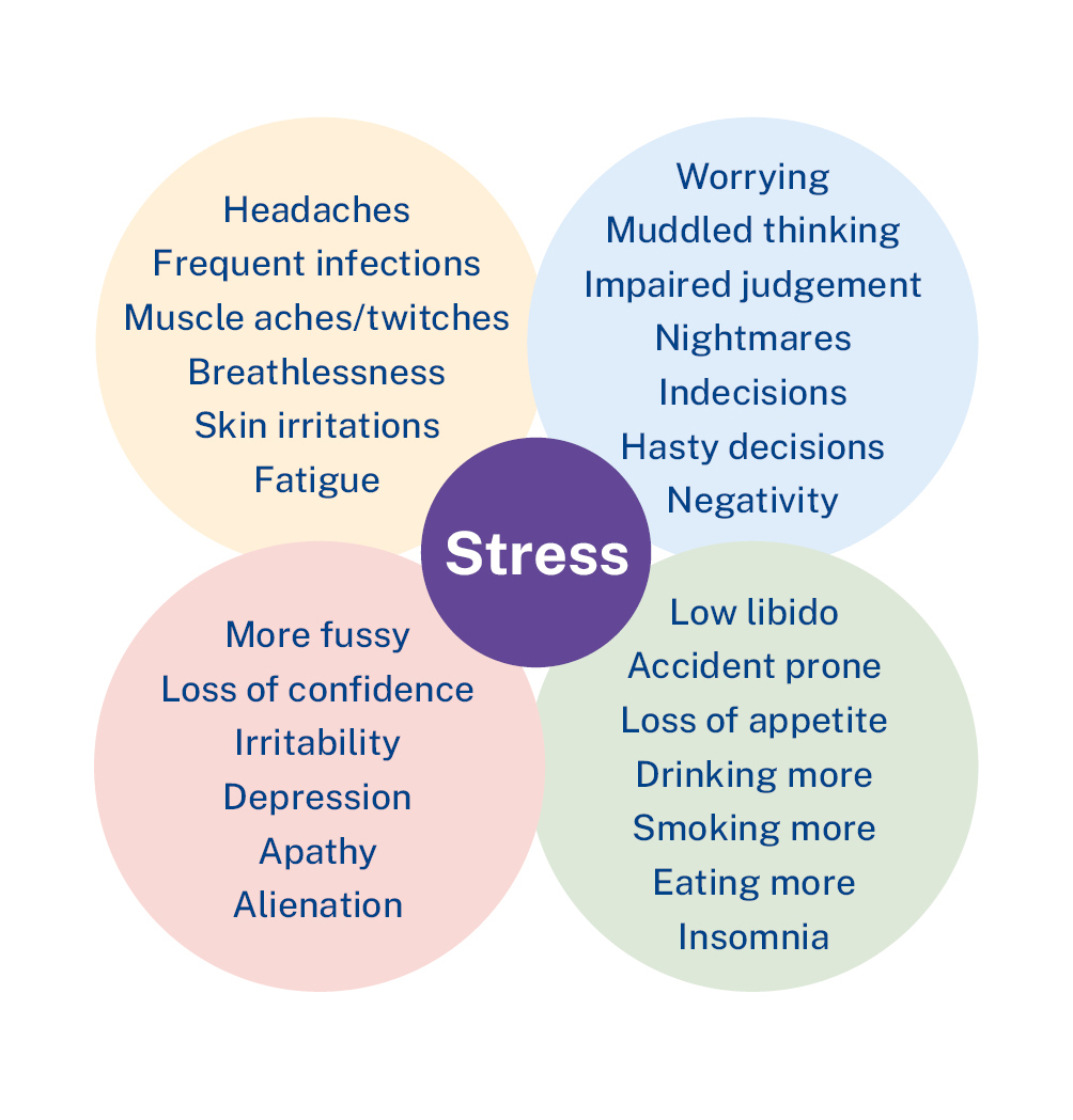 What are the common physical symptoms of stress - Quora