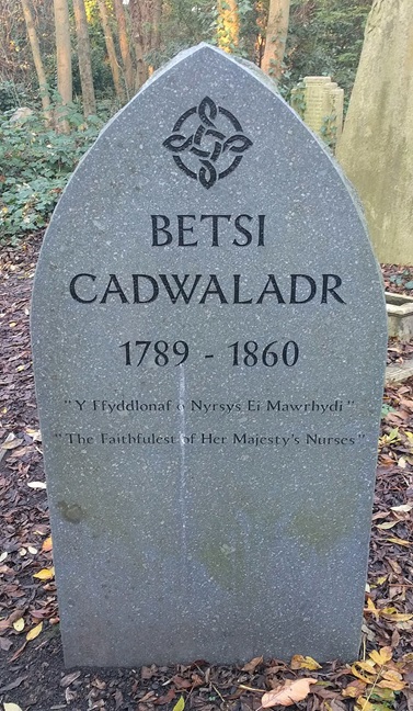 Remembering Betsi Cadwaladr | News | Royal College of Nursing